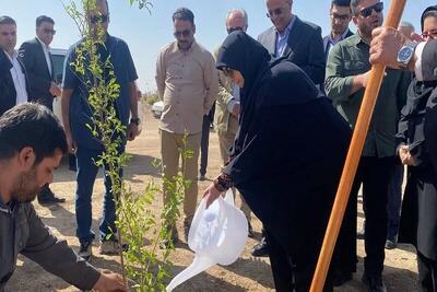 معاون رئیس جمهور: تحقق عدالت زیستی از اولویتهای دولت چهاردهم است