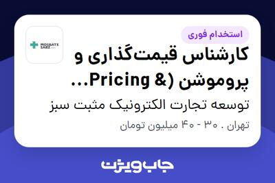 استخدام کارشناس قیمتگذاری و پروموشن (Pricing Promotion Specialist) در توسعه تجارت الکترونیک مثبت سبز