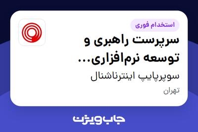 استخدام سرپرست راهبری و توسعه نرمافزاری سیستمها در سوپرپایپ اینترناشنال