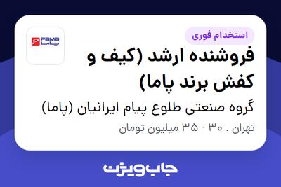  استخدام فروشنده ارشد (کیف و کفش برند پاما) در گروه صنعتی طلوع پیام ایرانیان (پاما)