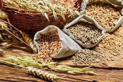 قزاقستان منبع جدید تامین غلات