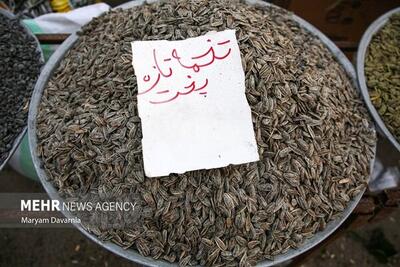 صادرات ۱۵ محصول کشاورزی آزاد شد