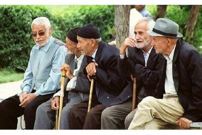 طرح «دست های مهربانی» در زنجان با هدف ایجاد پیوند بیننسلی آغاز کرد