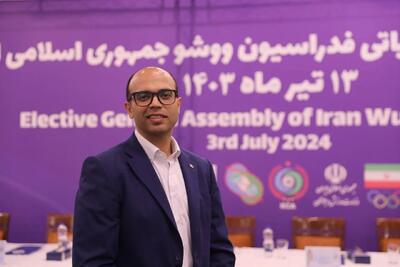 رئیس فدراسیون ووشو: نتایج اخیر نشاندهنده آمادگی بالای ملیپوشان است - پارس فوتبال