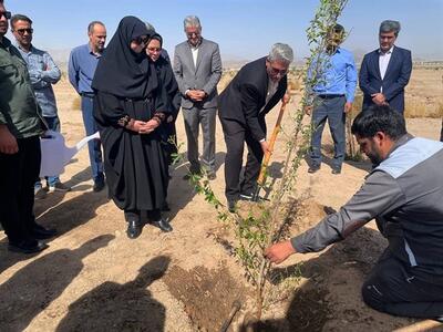 پارک جنگلی زاهدان