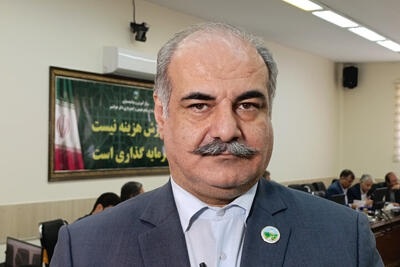  توقف بهره‌برداری چوب هیرکانی