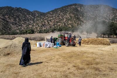 احیای دانش سنتی بومی