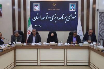  انصاری: موضوع تالاب هامون را در سطح کلان و ملی پیگیری می‌کنیم