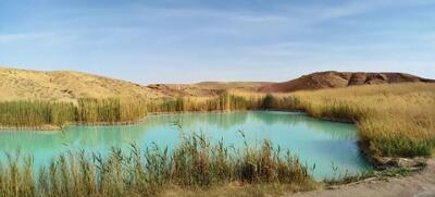  برگی زرین در تاریخ محیط‌زیست سمنان؛ ثبت چهار عرصه تالابی استان در تصویب‌نامه هیأت وزیران