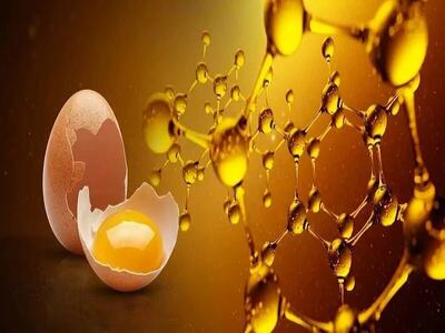 بهبود اسیدهای چرب و آنتیاکسیدان تخممرغ با مکملسازی غذایی