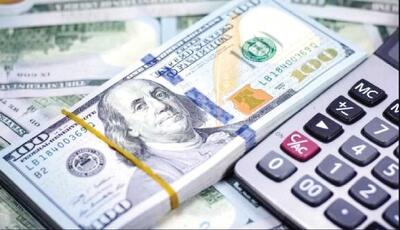 کارتهای بازرگانی اجارهای متهم اصلی هستند یا شرکتهای حاکمیتی؟