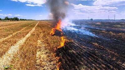 هشدار قضایی به آتشافروزان مزارع