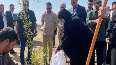 معاون رئیس جمهور: تحقق عدالت زیستی از اولویتهای دولت چهاردهم است