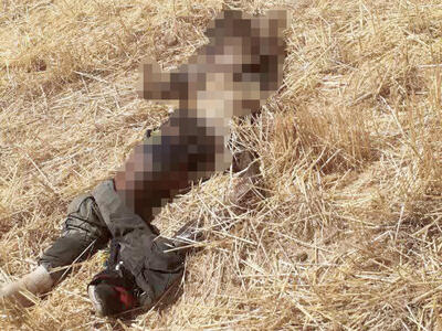  ماجرای جسد ناشناسی که توسط حیوانات خورده شد!