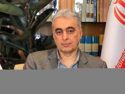دکتر سعدمحمدی : فاصله سودآوری فولاد با بحران کمتر شده است