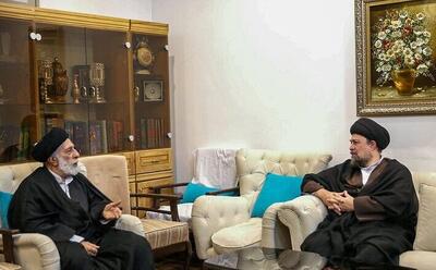  سیدحسن خمینی با سیدهادی خامنه‌ای دیدار کرد