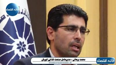 دولت پزشکیان از آزادسازی نرخ ارز ۷۰۰ همت درآمد داشته اما فقط ۴۸۰ همت کالابرگ پرداخته است