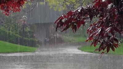 بارشهای سیلآسا در راه ۳ استان