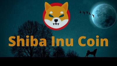 انفجار قیمت شیبا؛ آیا رالی صعودی SHIB ادامهدار خواهد بود؟