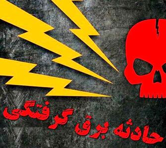  مرگ غم انگیز دختر 7ساله در پارک بدلیل دستکاری در پایه های برق