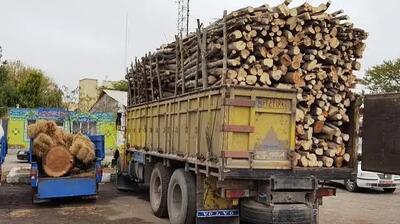  صدور مجوز حمل محصولات چوبی به صورت الکترونیکی در استان مرکزی / رعایت ضوابط قانونی و اخذ مجوزها ضروری است