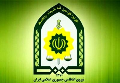  توقیف محموله غذای حیوانات خانگی در تاکستان