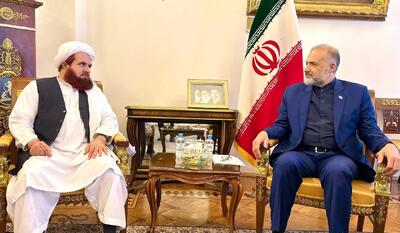 تاکید ایران بر مهار تلاش‌ غرب برای احیای هسته‌های افراطی در افغانستان