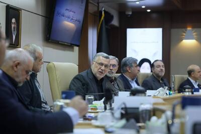ظفرقندی: پزشکی خانواده گامی اساسی برای تحقق عدالت در سلامت است