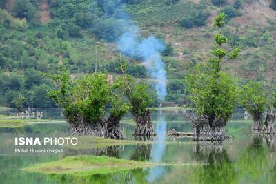 ثبت ۲۳۳ تالاب در فهرست رسمی آییننامه قانون حفاظت از تالابها