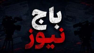 باجنیوزها؛ باجگیری در لباس افشاگری