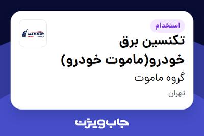  استخدام تکنسین برق خودرو(ماموت خودرو) - آقا در گروه ماموت