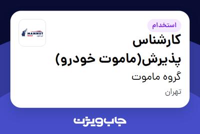  استخدام کارشناس پذیرش(ماموت خودرو) در گروه ماموت