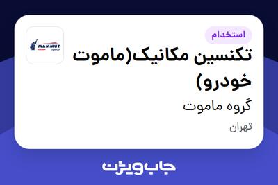  استخدام تکنسین مکانیک(ماموت خودرو) - آقا در گروه ماموت