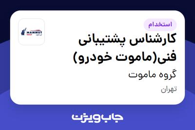  استخدام کارشناس پشتیبانی فنی(ماموت خودرو) - آقا در گروه ماموت