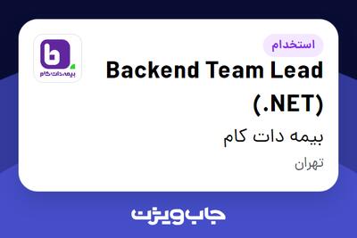 استخدام Backend Team Lead (.NET) در بیمه دات کام
