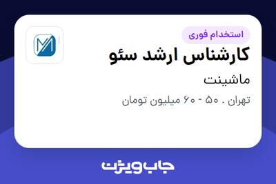استخدام کارشناس ارشد سئو در ماشینت