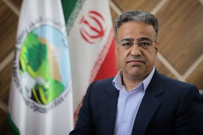  محمدی: بارگیری محصولات چوبی بدون اخذ مجوز الکترونیکی ممنوع است