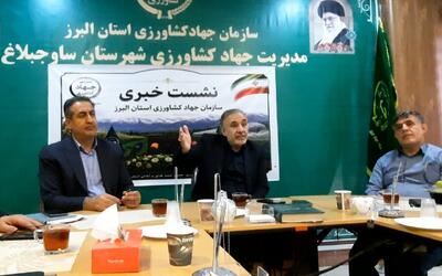  کوچک‌ترین استان کشور، پیشتاز بهره‌وری؛روایتی از شکوفایی کشاورزی البرز