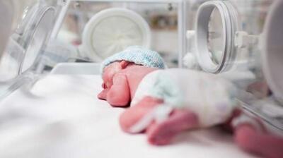  میگنا - تغذیه پدر می‌تواند بر سلامت نوزاد تأثیر بگذارد