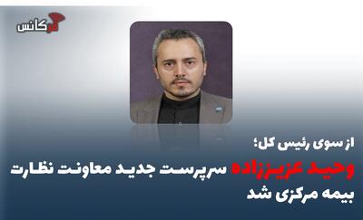 وحید عزیززاده سرپرست جدید معاونت نظارت بیمه مرکزی شد