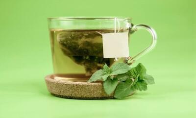  همه‌چیز درباره خواص چای سبز، میزان مصرف و عوارض آن