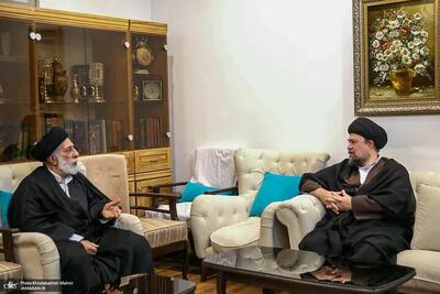  سیدحسن خمینی با سیدهادی خامنه‌ای دیدار کرد