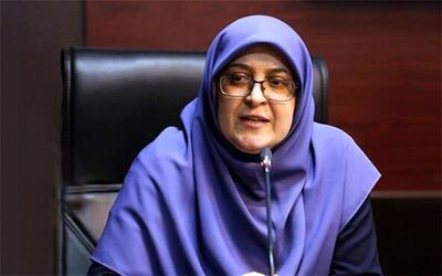  مهاجرانی: مدیریت مصرف انرژی با فرهنگ عمومی جامعه پیوند خورده است