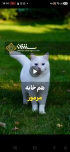  هم خانه مرموز