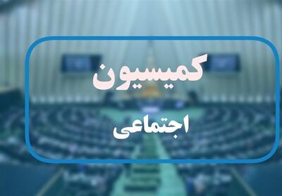 جلسه کمیسیون اجتماعی به منظور ارزیابی مصوبه دولت در خصوص نیروهای شرکتی - تسنیم