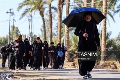  اربعین؛ آنجا که در میان شما با تمام خستگی‌هایم راه می‌روم - تسنیم