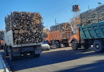 هشدار منابع طبیعی استان مرکزی درباره حمل چوب بدون مجوز الکترونیکی - تسنیم