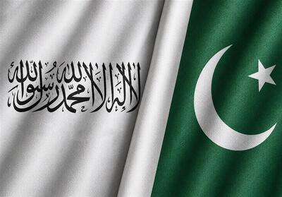  طالبان: تنش میان کابل و اسلام‌آباد به زیان دو کشور است - تسنیم