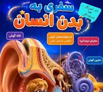  سفری شگفت‌انگیز به دنیای گوش انسان!