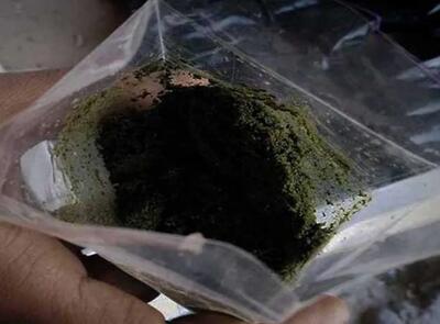 زنگ خطر در مدارس؛ رواج مصرف ماده مخدر ناس در میان دانشآموزان